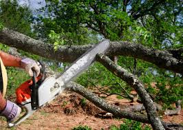 Best Lawn Grading and Leveling  in Murray, UT