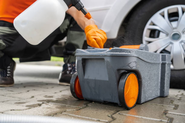 Best Tree Disease Treatment  in Murray, UT